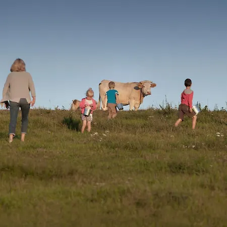 Kowalowe Wzgorze * Polanica-Zdrój