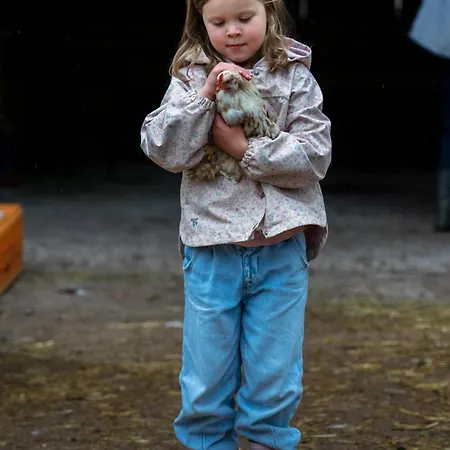 Kowalowe Wzgorze Farmház