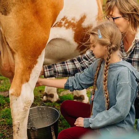 Farm stay Kowalowe Wzgorze *
