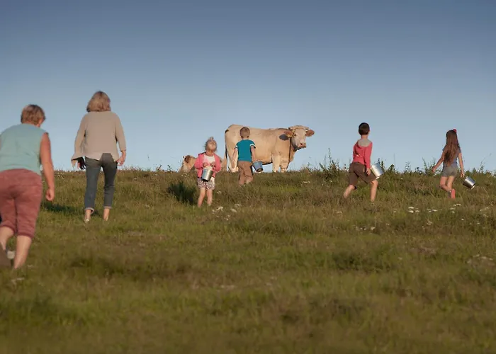 Kowalowe Wzgorze * Bad Altheide