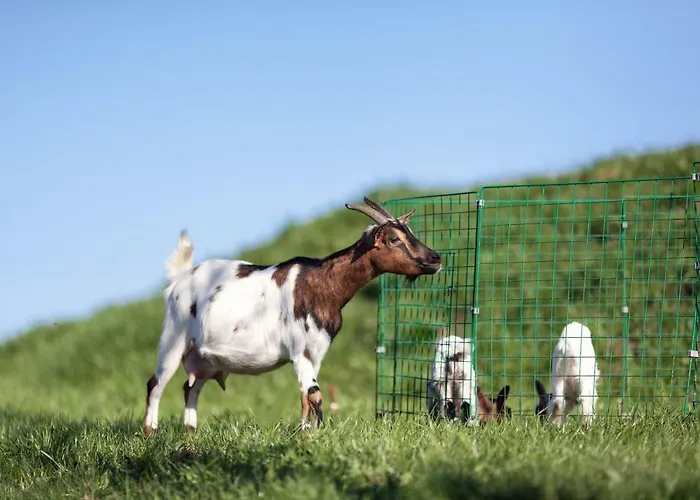 مزرعة للإقامة Kowalowe Wzgorze